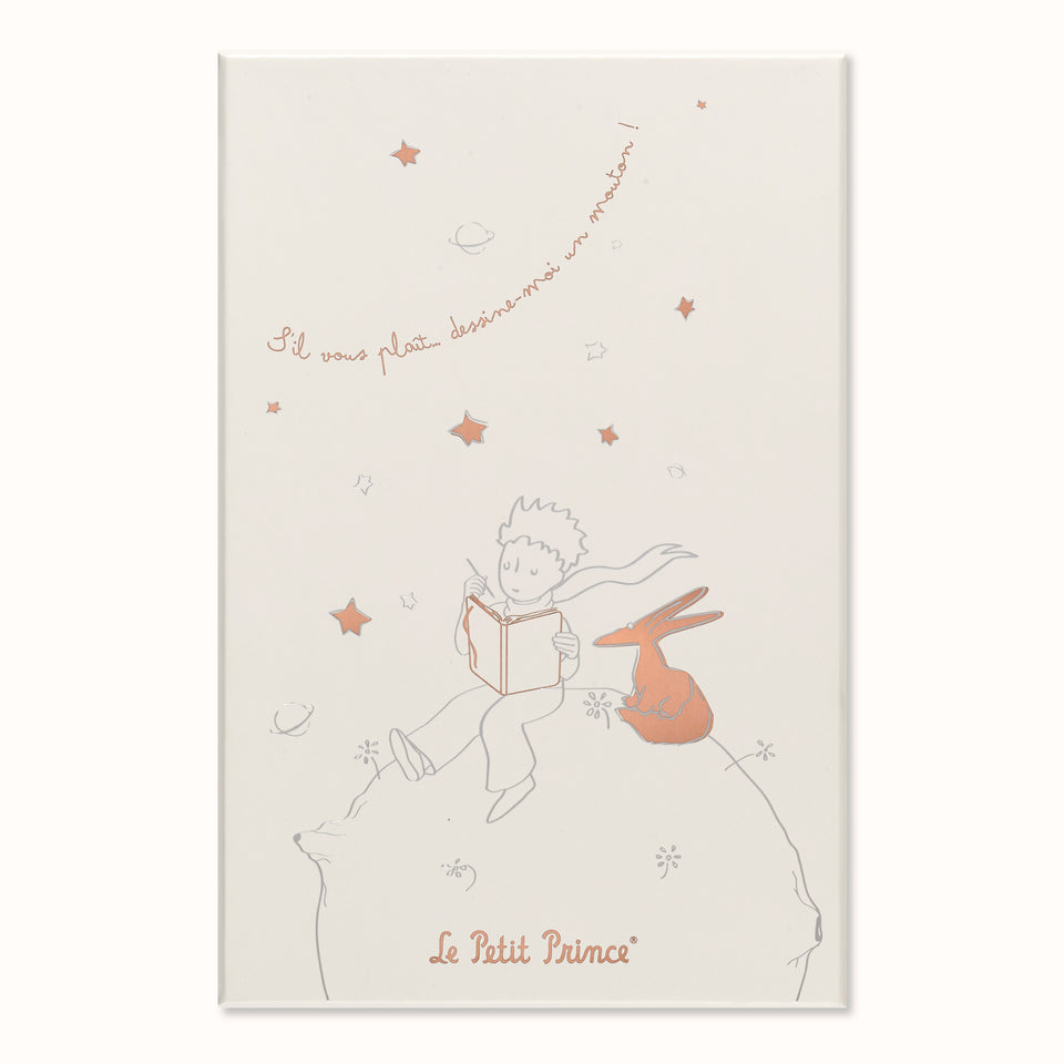 Gift Box Principito con Agenda Sin Fechar Grande Gris y Libreta Grande Negra Pasta Dura